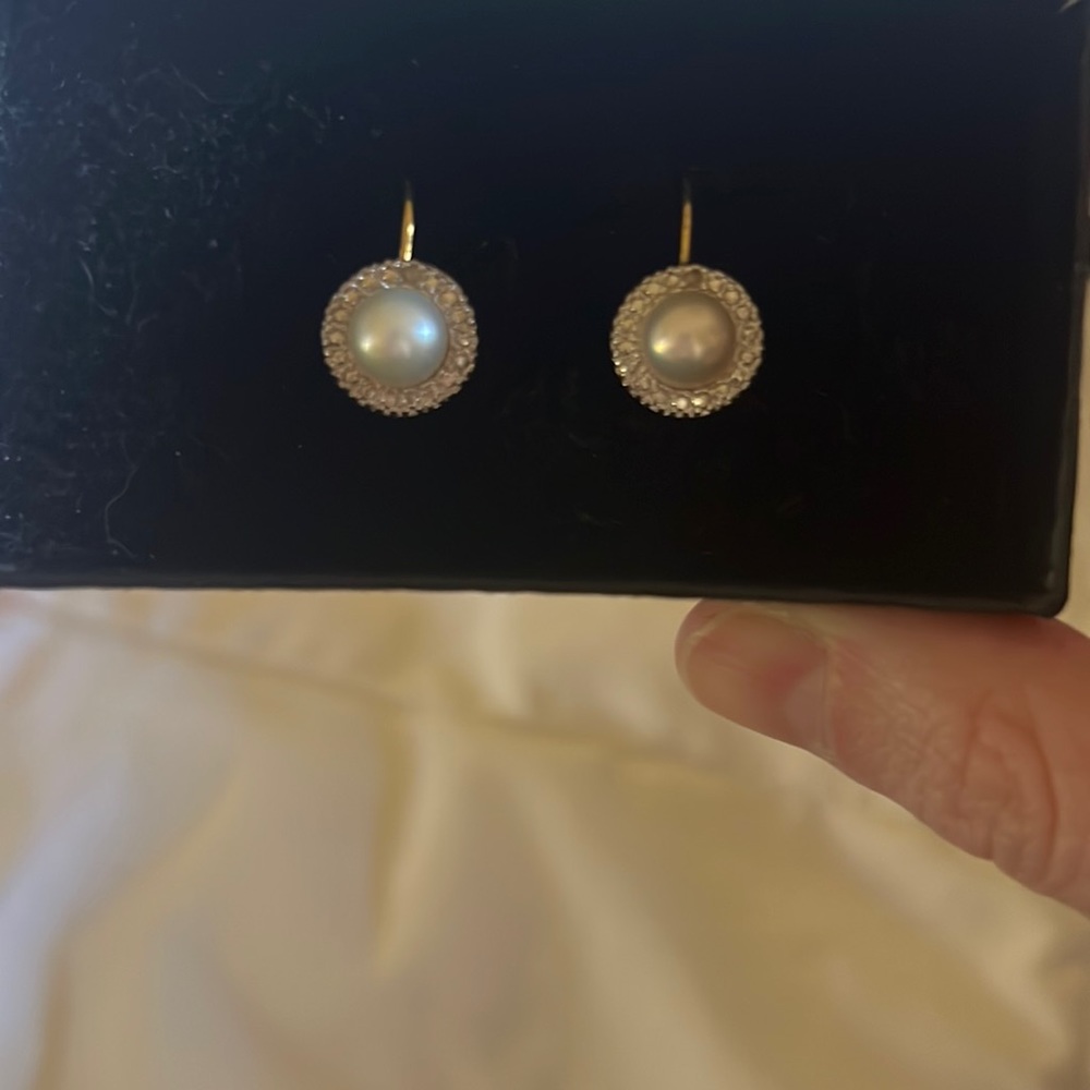 Gorgeous earrings NWOT